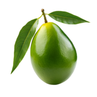 Fresh green mango with leaf isolated against a transparent background ready for culinary use or decorative purposes, green mango with leaf isolated on transparent background png