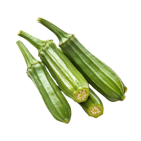 Fresh okra isolated on a clean transparent background showcasing its vibrant green color and unique texture, okra isolated on transparent background png