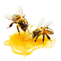 Bees collecting honey from a golden puddle with a transparent background, bees and their honey, transparent background, png
