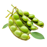 Fresh green soybeans in pods on a pristine transparent background showcasing their vibrant color and texture, green soy beans isolated on transparent background png