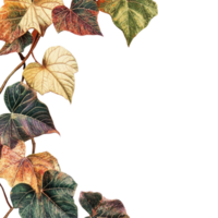 Beautiful autumn leaves background with a variety of colors for creative design projects, Feuille background png