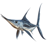Swordfish displayed against a clean transparent background showcasing its unique features and streamlined body, Swordfish Isolated on transparent background png