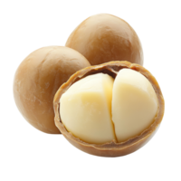 Peeled macadamia nut on a clean transparent backdrop showcasing its creamy interior and smooth exterior texture, Peeled macadamia nut isolated on transparent background png