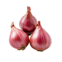 Fresh shallots isolated on a transparent background showcasing their vibrant color and unique shape in a simple presentation, shallots isolated on transparent background png