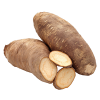 Encountering the unique textures of fresh Chinese yam displayed on a clean transparent background during a food photography session, Chinese yam on transparent background png