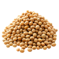 Stacked soybeans on a transparent background showcasing their natural color and texture for food and agricultural contexts, Stacked soybeans isolated on transparent background png