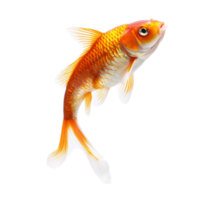 Dynamic fish leaping gracefully against a transparent background in clear motion, Dynamic Real Fish Leaping on transparent background Isolated Aquatic Image png