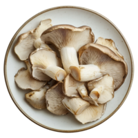 Fresh oyster mushrooms arranged neatly on a transparent plate, showcasing their delicate textures and colors, oyster mushrooms in a plate isolated on transparent background png