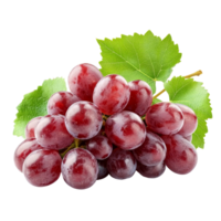 Ripe red grapes clustered together on a transparent background showcasing their fresh and juicy appearance, Ripe red grape isolated on transparent background png