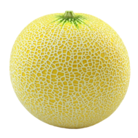 Fresh yellow cantaloupe melon against a clean transparent background showcasing its textured surface and vibrant color, yellow cantaloupe melon on transparent background png