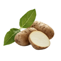 Fresh yam potato with green leaves isolated on a transparent background for culinary and nutritional purposes, yam potato with leaf isolated on transparent background png