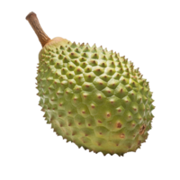 Soursop fruit displaying its unique spiny green exterior set against a crisp transparent background, Soursop fruit on transparent background png