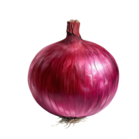 Fresh red onion on a clean transparent background highlighting its vibrant color and natural texture, Red onion on transparent background png