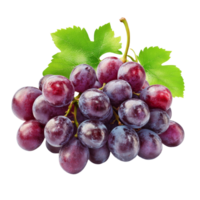 Fresh purple grapes cluster with green leaves isolated on a transparent background ready for consumption or culinary use, Fresh Grapes Cluster Isolated isolated on transparent background png