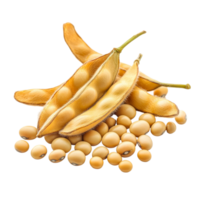 Close up view of soybeans and pods isolated on a transparent background highlighting their natural texture and shape, Close up Soybean isolated on transparent background png