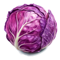 Fresh red cabbage on a bright transparent background showcasing its vibrant color and leafy texture, Red cabbage on transparent background png