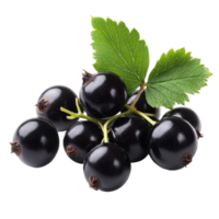 Fresh black currants clustered with vibrant green leaves on a clean transparent background ready for culinary uses, Fresh black currant fruit on a transparent background png
