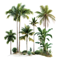 Tropical trees arranged on a transparent background showcasing lush greenery and vibrant foliage in a serene natural setting, tropical trees isolated on transparent background png