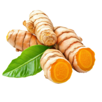 Fresh turmeric roots with green leaf isolated on a clean transparent background showcasing their vibrant color and texture, turmeric with leaf isolated on transparent background png