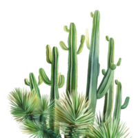 A vibrant collection of clump cactus palm tree leaves against a transparent background showcasing natures intricate details and textures, clump cactus palm tree leaf on transparent backgroundfile png