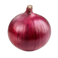 Fresh red onion isolated on a clean transparent background for culinary use or decorative purposes, red onion isolated on transparent background png