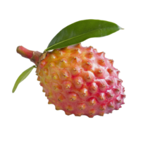 Discover the tropical Rambeh fruit with vibrant colors and distinctive texture set against a clean transparent background, Rambeh tropical fruit with leaf on transparent background png