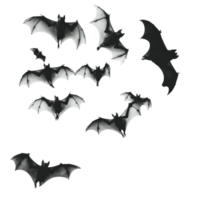 A flock of bats flying in a dark cluster against a transparent background at dusk, flying flock of bats, file of isolated object on transparent background png