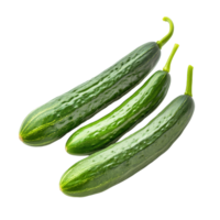 Fresh small green cucumbers isolated on a clean transparent background showcasing their vibrant color and smooth texture, small green cucumbers isolated on transparent background png