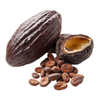 Fresh cocoa fruits and cacao beans on a clean transparent background showcasing their natural textures and colors, ripe cocoa fruits isolated on transparent background png