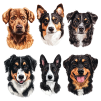 Five distinct dog head portraits featuring various breeds isolated against a transparent background, five different dog head portraits isolated on transparent background png