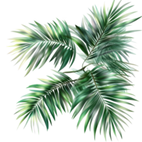 Vibrant green palm tree leaves isolated on a transparent background for tropical decor or design projects, Green leaves of palm tree isolated on tranaparent background isolated on transparent png
