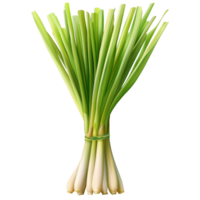 Fresh lemongrass bundle ready for culinary use in various dishes and beverages, fresh Lemongrass isolated on trransparent png