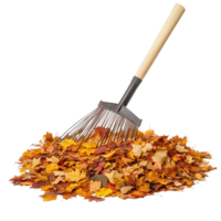 Raking colorful autumn leaves into a neat pile on a bright Transparent background, Raking autumn leaves isolated on background png