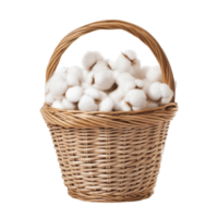 Cotton bolls in a woven basket isolated on a Transparent background showcasing natural beauty and texture, cotton in the basketisolated on background png