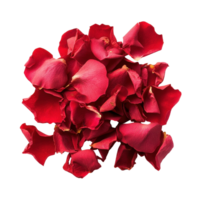 Bright red rose petals scattered on a clean Transparent background for decorative purposes and artistic projects, Rose petals isolated on background png