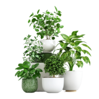 Dense arrangement of green leafy plants in various pots for indoor decoration, Isolated image densely growing green leafy plants in pots stacked on a Transparent background png