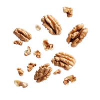 Falling walnuts captured in mid air against a clean white backdrop showcasing their texture and natural form, Falling walnuts isolated on white background png