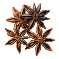 Whole star anise isolated on Transparent background showcasing its distinct star shape and brown hues, beef dish with pasta and sauce isolated on background png
