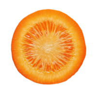 Carrot slice viewed from above isolated on a white background showcasing vibrant color and texture details, Carrot slice top view isolated on white background png
