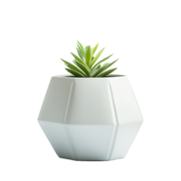 Geometric white clay pot with succulent plant on bright background, Empty clay pot, geometric planter isolated on white background png