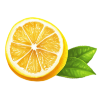 Fresh lemon sliced in half with vibrant yellow flesh on transparent Transparent background, lemon isolated on transprent background png