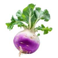 Kohlrabi grows upright showcasing vibrant green leaves and bulbous purple base on a Transparent background, Kohlrabi isolated on background png