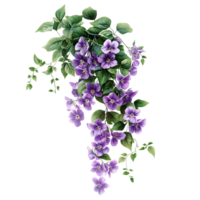 A cluster of hanging flowers with lush green leaves, isolated transparent Background png