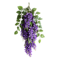 A cascading cluster of vibrant purple hanging flowers with lush green leaves, isolated on transparent Background png