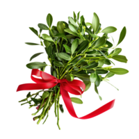 Festive mistletoe bundle with red ribbon, isolated on transparent background png