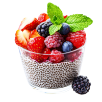 A close-up view of chia seed pudding topped with berries and mint leaves, isolated on a clean white surface, Isolated on transparent Background png