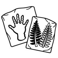 fossil impressions of handprint and fern leaves on stone slabs, ancient prehistoric discoveries vector