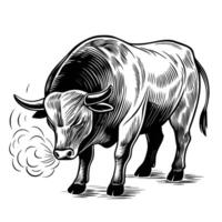 powerful bull illustration black and white sketch with fierce expression, strong impactful pose vector