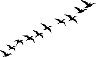 Flying Birds Silhouette, Avian Migration Flock on White Background, Symbol vector