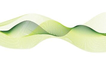 Green Abstract Wave Lines on a White Background vector